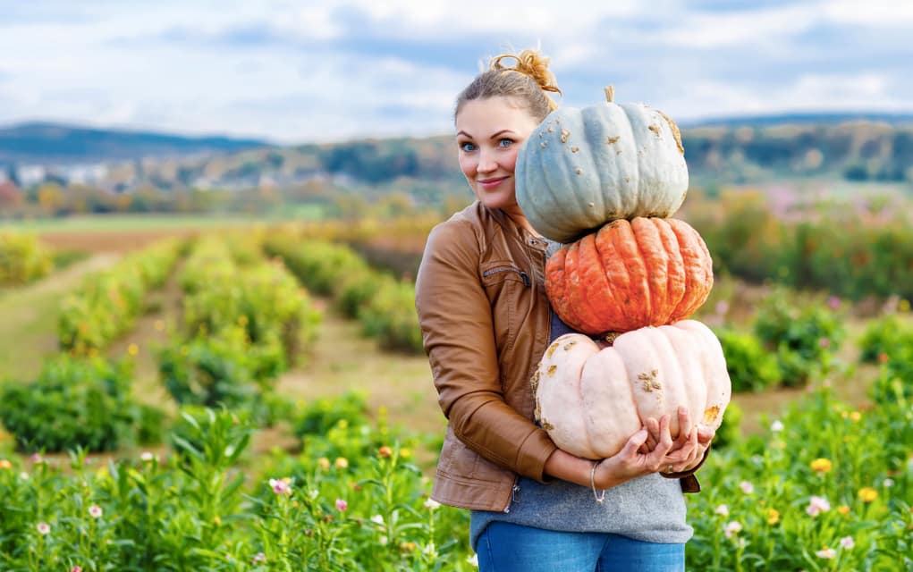 Why The Fall Season Rocks… Why The Fall Season Rocks…