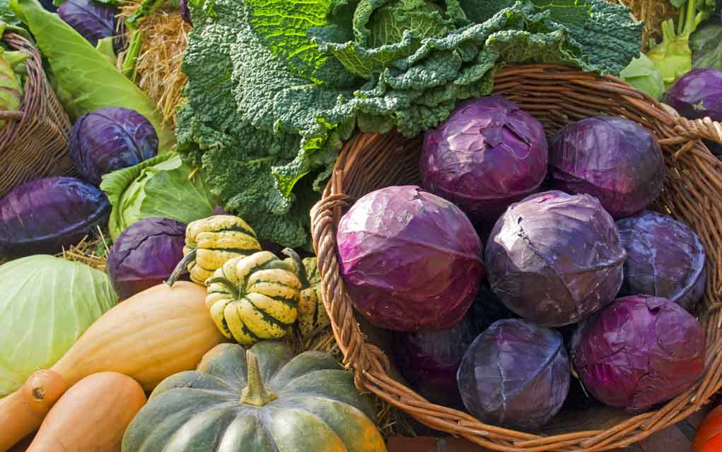 Vegetables and Salads Vegetables and Salads